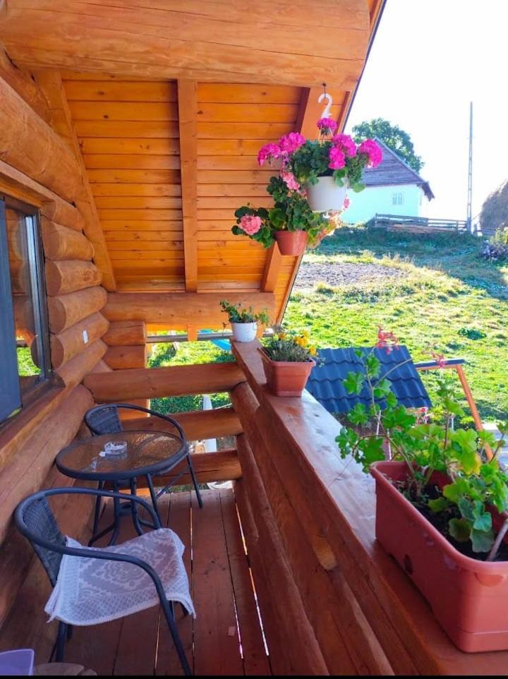 Cabana Colt De Munte Gîrda de Sus Exterior foto